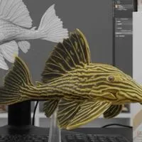 ✧ 南美水池異形魚 | 龍魚 ˖°✧