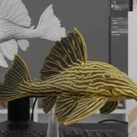 ✧ 南美水池異型魚 ｜ 龍魚 ˖°✧