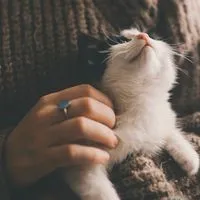 好狗運嘉民店🐾