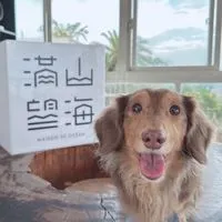 小胖短🐶AAPE BAPE 潮流🇭🇰🇰🇷🇯🇵國外代購