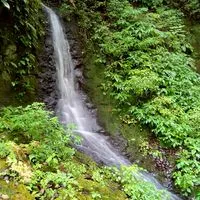 心事聊天樹洞匿名地 想怎樣愛怎樣