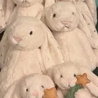 Jellycat兔兔抱回家🐰💖