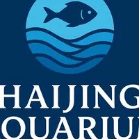 海之境水族 Hai Jing Studio（泰國線球魚、茉莉）