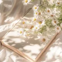 荳荳花｜正韓日本選品｜🐯🐰🐲🐍