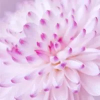 許睿光-占星命理諮詢、身心靈成長