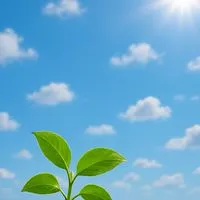 🍋抒發心情的小窩，互相關心，憂鬱症，燥鬱症，思覺失調症，精神疾病，互相陪伴，關懷🍋