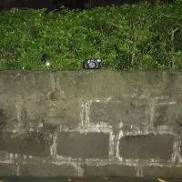 每日主題攝影📷