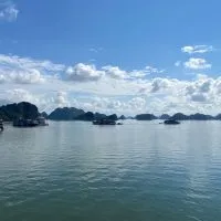 中部姐妹會⭐️25Y ⬆️les Only