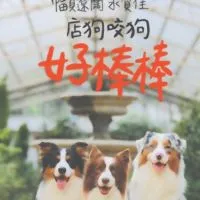 林可可爆卦團