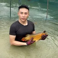 溪水金魚「直購/競標」專用社群