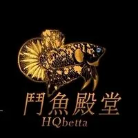 鬥魚殿堂(現貨)上架競標區