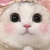幫忙畵你的人設