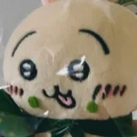 台吉電不專業日本代購