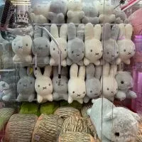 Yuki桑の不專業日本代抽一番賞/中古店shopping group