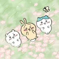 ！桌布、圖片分享群！