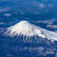 🇯🇵鸚鵡二毛日本代購🛒