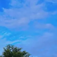 木頭雜七雜八的代購