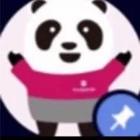 豐原在地熊貓仔