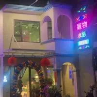 5號寵物店官方群