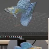 孔雀魚 遊樂園