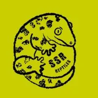 秘境之鱗  SSR