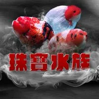 珠寶水族 精品觀賞魚世界