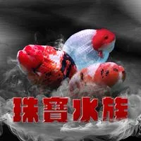 珠寶水族 精品觀賞魚世界