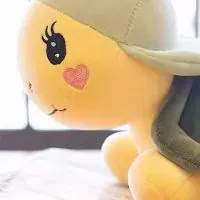 寵寵維基