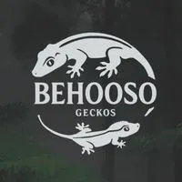 Behooso 壁護所