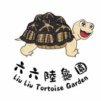 《六六陸龜園》各品種水龜、陸龜交流平台