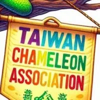 臺灣變色龍協會（推廣、交流、教育）