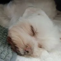 哈哈窩學府FAMILY 🏡