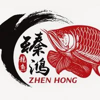 臻鴻精品龍魚、虎、魟專賣
