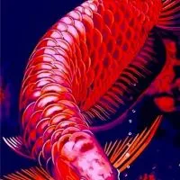 北中南水族交流平台
