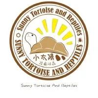 小太陽陸龜競標區 目前競標中