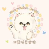 桃園博美家族㊙️𝗣𝗼𝗺𝗲𝗿𝗮𝗻𝗶𝗮𝗻 𝗳𝗮𝗺𝗶𝗹𝘆