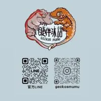 『睫伴沐語mumu』樹棲守宮交流群