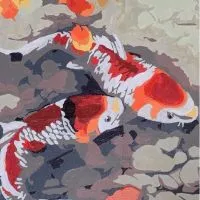 群盛水族交流