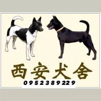 西安犬舍台灣犬俱樂部特寵業繁字第G1070103號