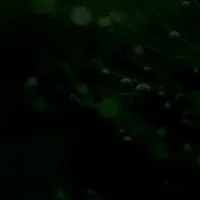蝦米攏共