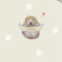 Q.Bear｜臺灣金絲熊舍｜
