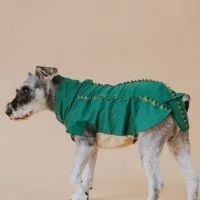 嘟嘟媽の雪寶選物🐶