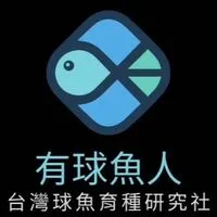 🈶球魚·人