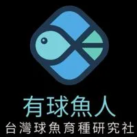 🈶球魚·人