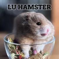Lulu鼠🍪小小鼠宅