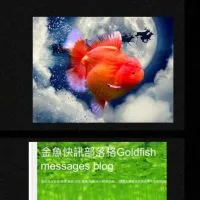 金魚快訊Goldfish Messages