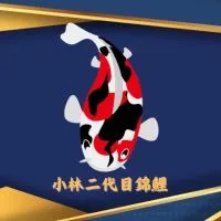 小林二代目錦鯉交流區