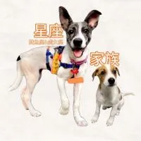 星座家族，雙魚座🧡聊天群
