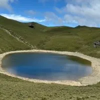 圓夢山林