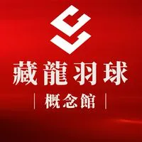 藏龍羽球概念館